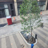 Downtown Const w Tree